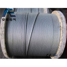 Galvanized Iron Wire for Fence, Binding Wire and Christmas Tree